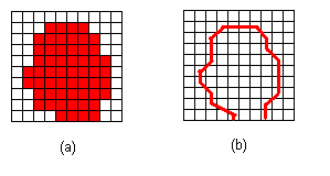 Vector Representation